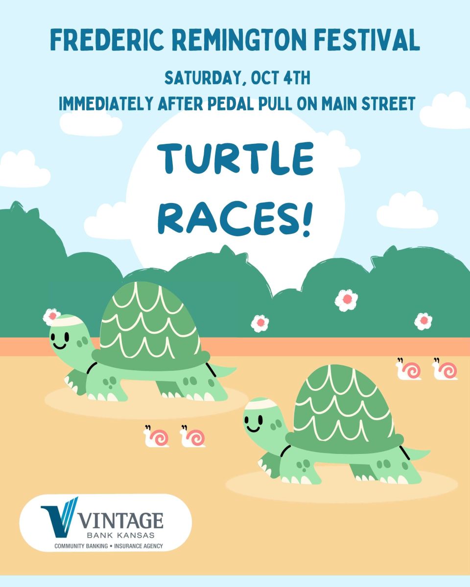 Turtle Race poster for Fred Fest, bring your own turtle