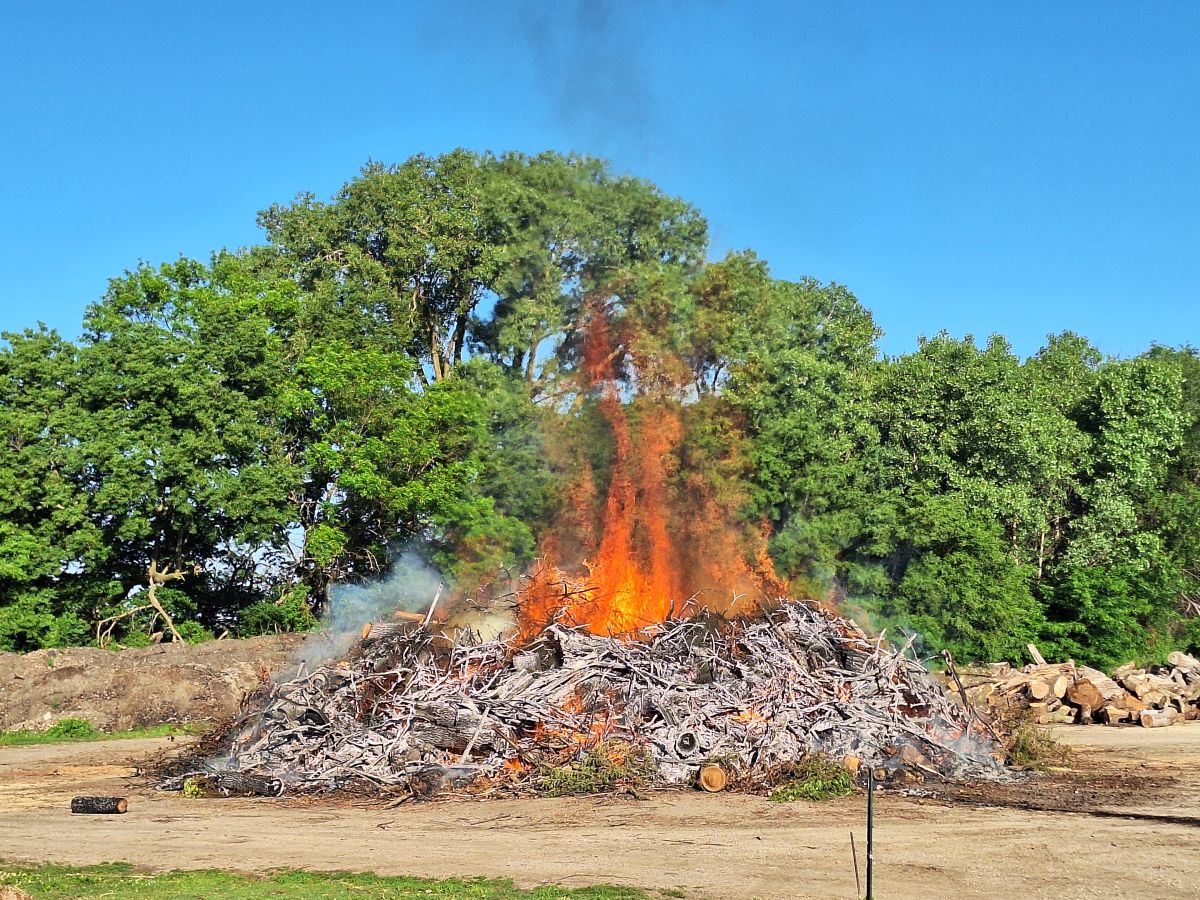 City workers have a burn permit to burn down certain items at the dump