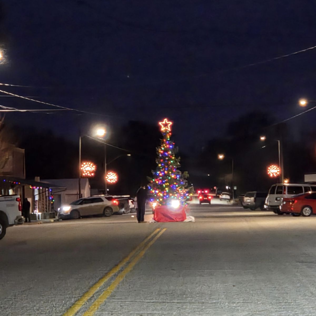 Tree at night all lite up on Main