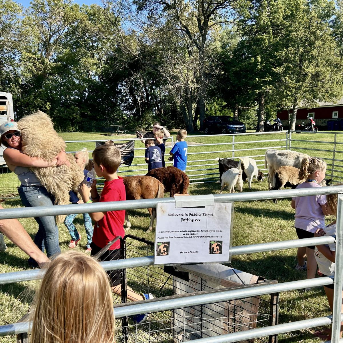 various farm animals in a pen with children petting them