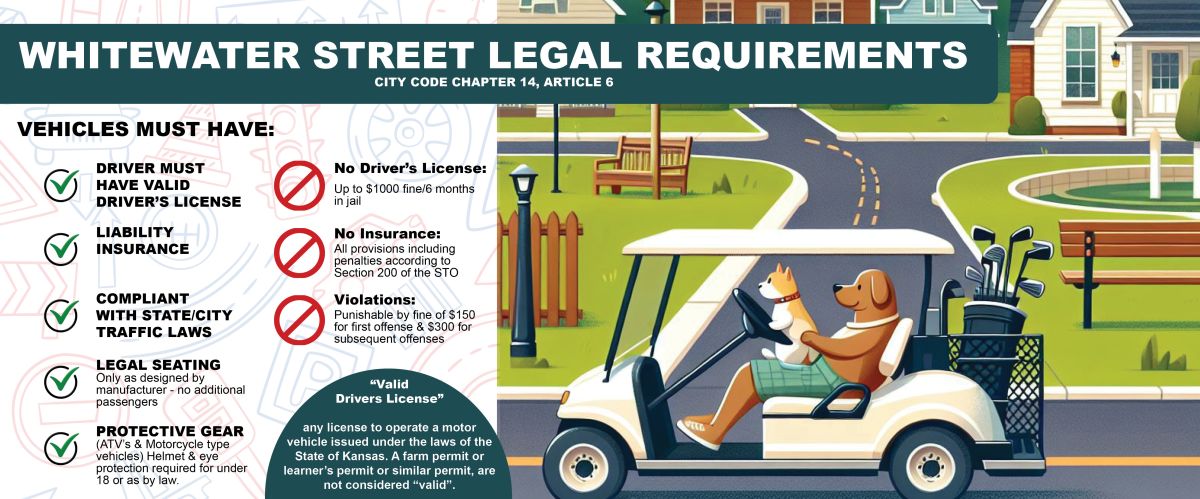 infographic explaining the city codes for special use vehicles in the city