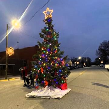 Tree in the middle of Main