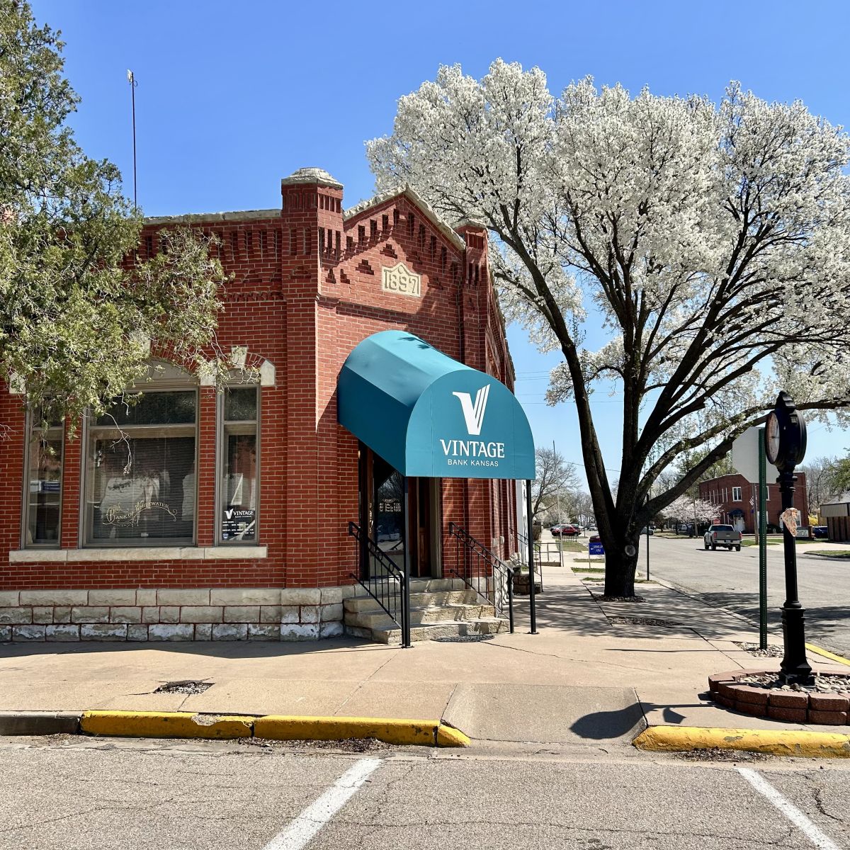 A tree in bloom over a brick corner building with an old sidewalk clock outside