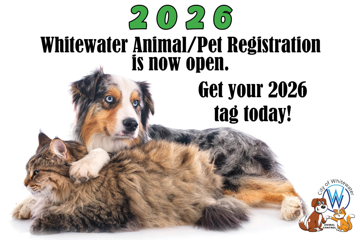 dog and cat snuggling, annual pet registration now open